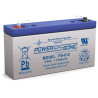BATTERIE POWERSONIC PS-612