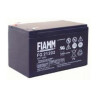 BATTERIE PLOMB FIAMM FG21202