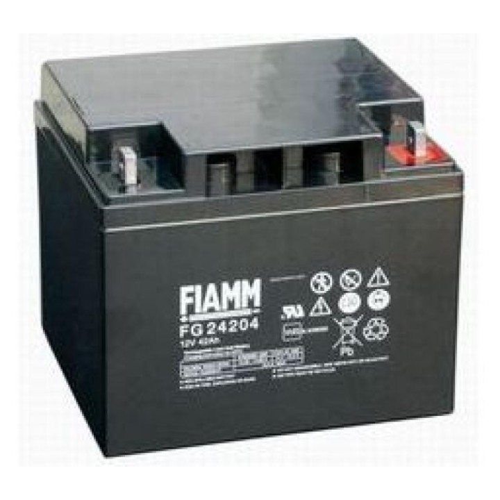 Batterie au plomb 12V Fiamm FG24204 homologuée VDS