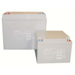 BATTERIE 12V 55A/H FIAMM SP55