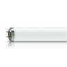TUBE FLUO LUMILUX L15W/954 T8 OSRAM **