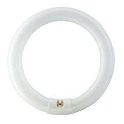 TUBE FLUO TL-E 22W/865 T9...