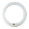 TUBE FLUO TL-E 22W/865 T9 CIRC. PHILIPS **