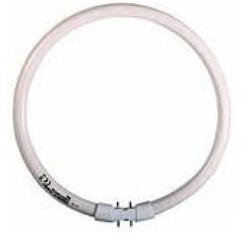 TUBE FLUO FC40W/840 T5 CIRC. OSRAM **