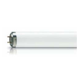 TUBE FLUO LUMILUX L36W/954...