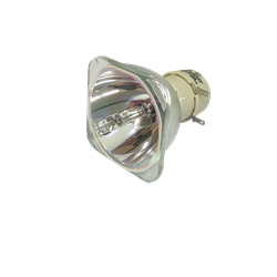 LAMPE VIDEO OPTOMA X416/W416