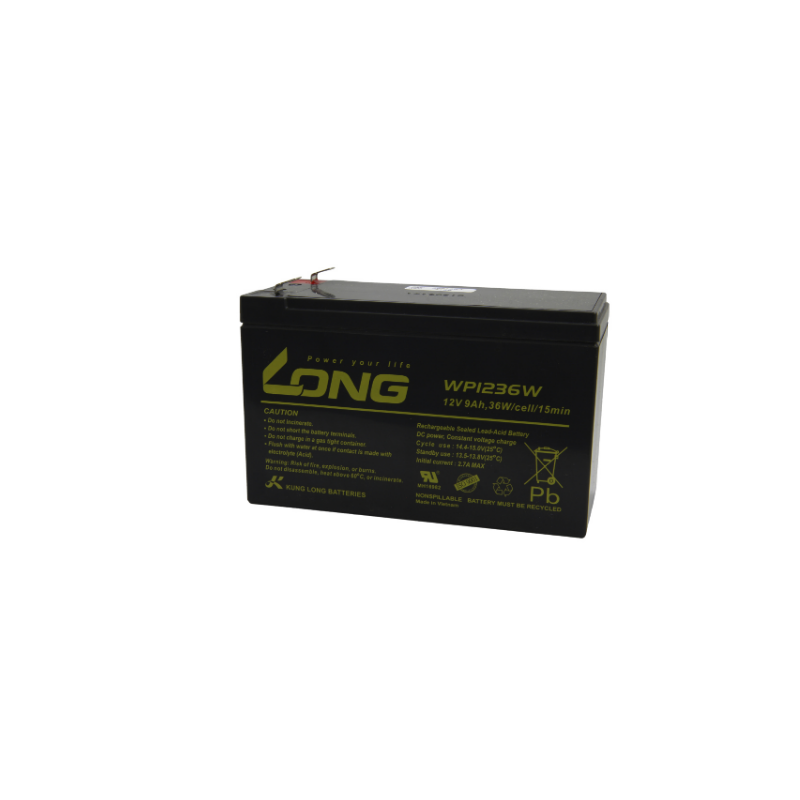 BATTERIE PLOMB LONG WP1236W