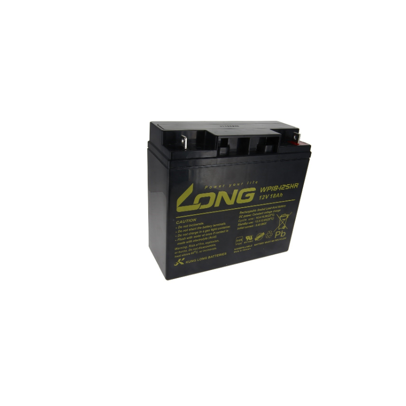 BATTERIE PLOMB LONG COPACKS CP12180