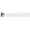 OSRAM Lumilux T8 Fluorescent Tube 18W / 62 G13