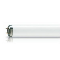 Tube fluorescent Osram...
