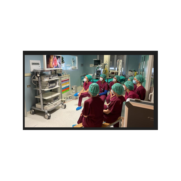 Caméra sans fil SSL-LHD-30 pour la chirurgie - Sunoptic
