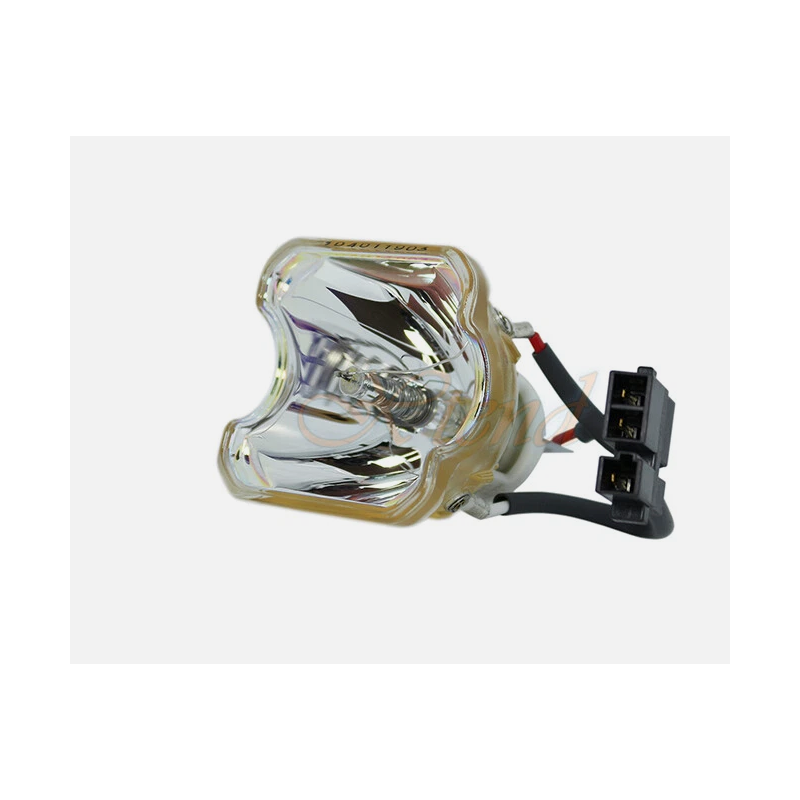 Lampe pour projecteur Nikon Intensilight C-HGFI