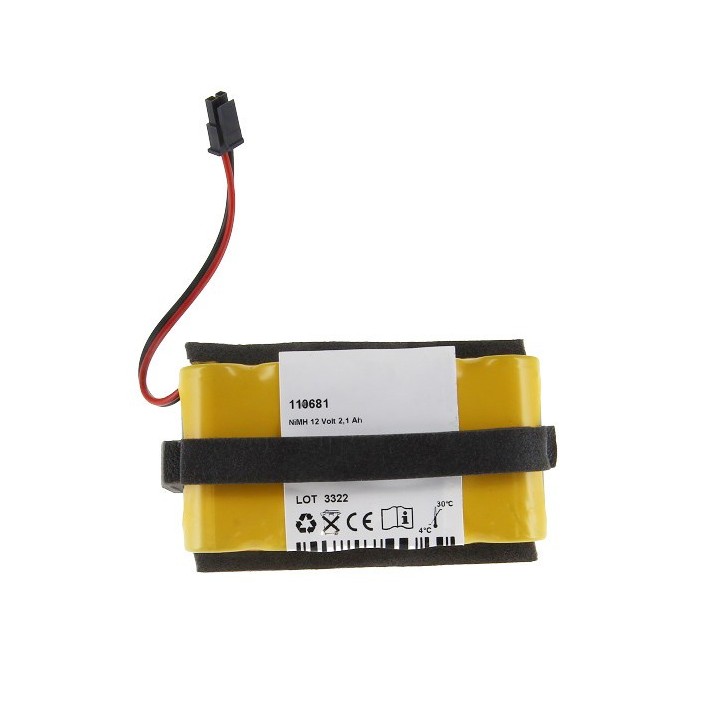 Batterie 12 V compatible avec la pompe Medela Clario