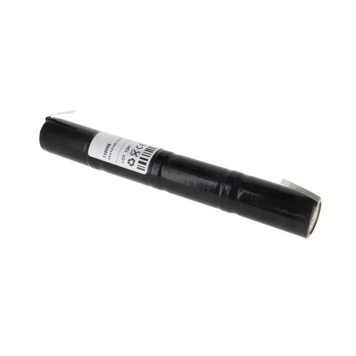 Batterie 4.8V compatible avec ECG Bosch Spiro 501
