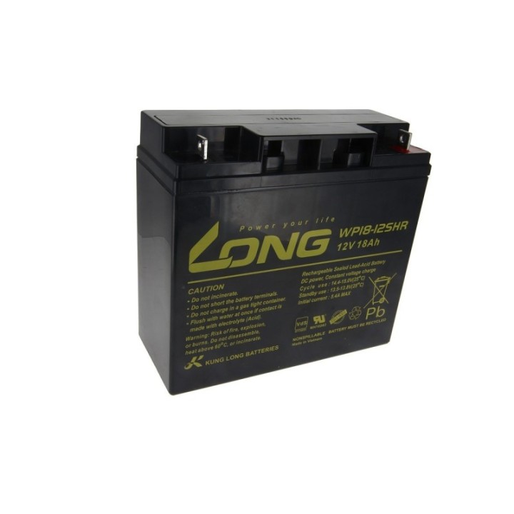Batterie Plomb 12V Long COPACKS remplacement Vision CP12180