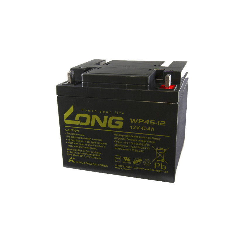 Batterie Plomb 12V Long 45A/H WP45-12