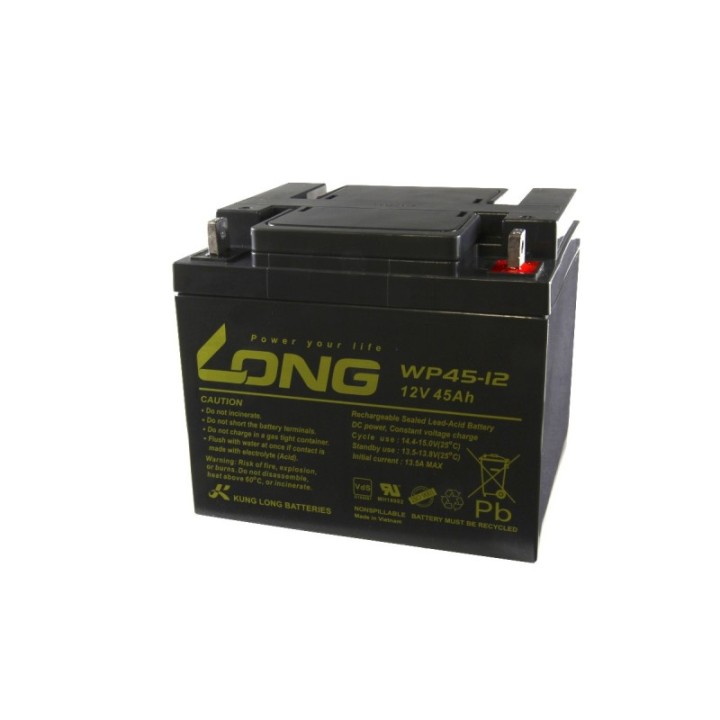 Batterie Plomb 12V Long 45A/H WP45-12