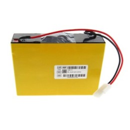Batterie Plomb 12V de rechange pour Aspirateur S-SCOR VX2-2PIN