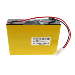 BATT ASPIRATEUR S-SCOR VX2...