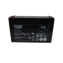 6V Batterie au plomb Fiamm FG10721