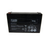 6V Fiamm lead-acid battery FG10721