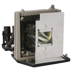 Lampe vidéoprojecteur...