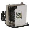 Toshiba TDP-S80, TDP-S81 Projector Lamp (Replaces: TLP-LW5)
