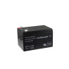 Batterie au plomb 12V Multipower MP12-12B