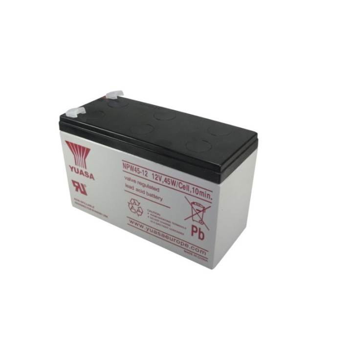 Batterie au plomb 12V Yuasa NPW45-12 - type USV