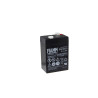 Batterie au plomb 6 V Fiamm FG10451
