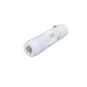 Batterie Riester pour poignée de laryngoscope NiMH ri-accu 10681