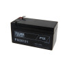 Batterie au plomb 12V Fiamm FG20121